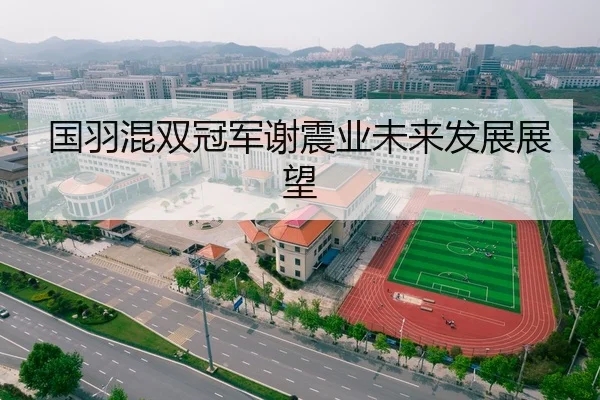 国羽混双冠军谢震业未来发展展望
