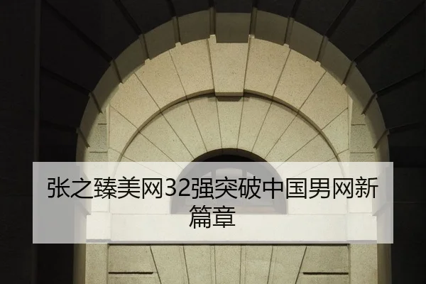 张之臻美网32强突破中国男网新篇章